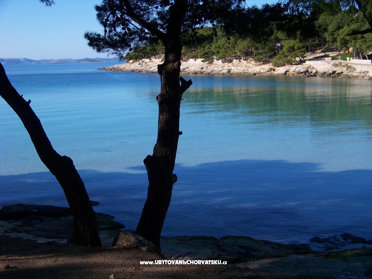 Apartment Bezjak – Ferienwohnung Insel Murter, Kroatien – Foto 5