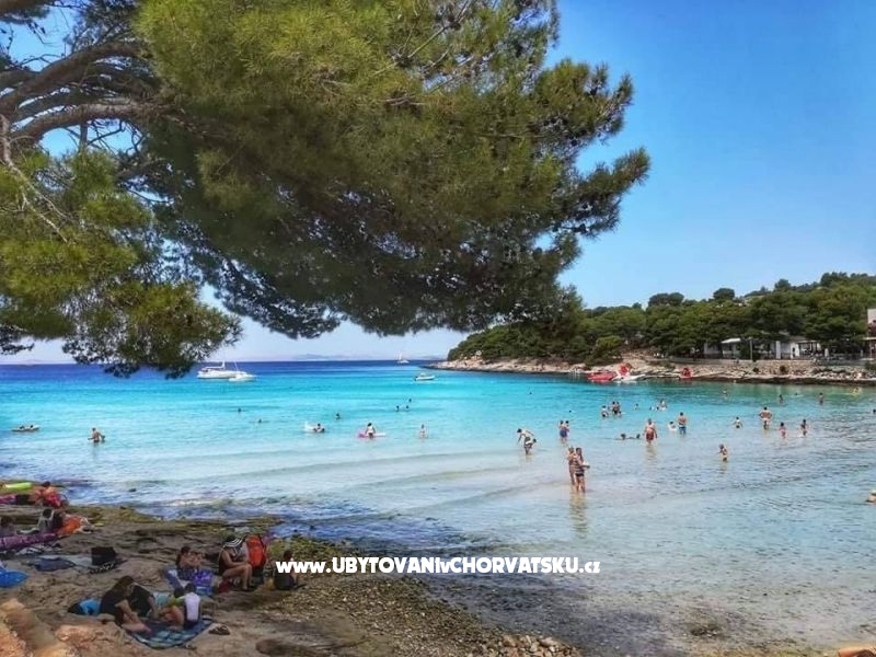 Vila Franka – Ferienwohnung Insel Murter, Kroatien – Foto 13