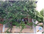Apartma TiLa - Nin Hrvaka
