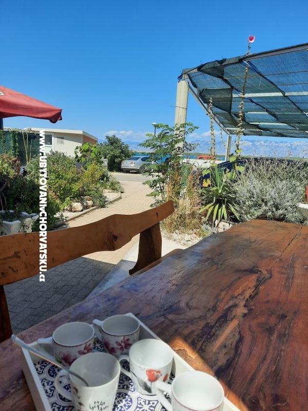 Appartements Puškar – Ferienwohnung Nin, Kroatien – Foto 6