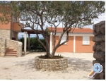 Appartements Ante - Nin Kroatien