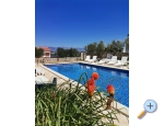 Appartements Ante - Nin Kroatien