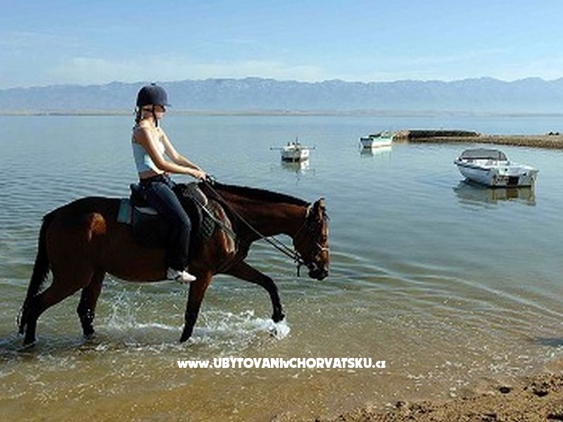 Appartements Casa Tea  – Ferienwohnung Nin, Kroatien – Foto 9