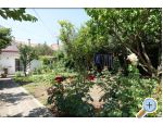 Apartmaji Nin-Island - Nin Hrvaka