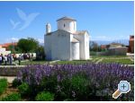 Appartements Popovi - Nin Croatie