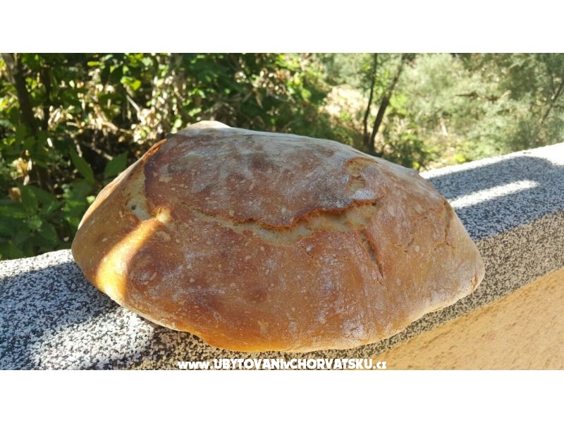 Appartements Rajlić – Ferienwohnung Nin, Kroatien – Foto 6