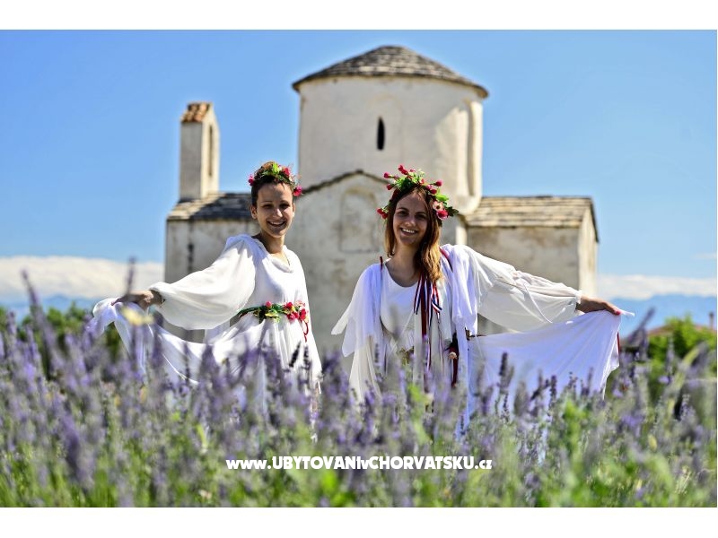 Appartements Danijel – Ferienwohnung Nin, Kroatien – Foto 17