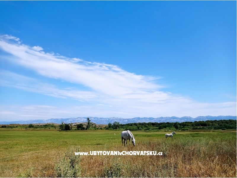 Holiday Home Eda – ubytování Nin, Chorvatsko – foto 13