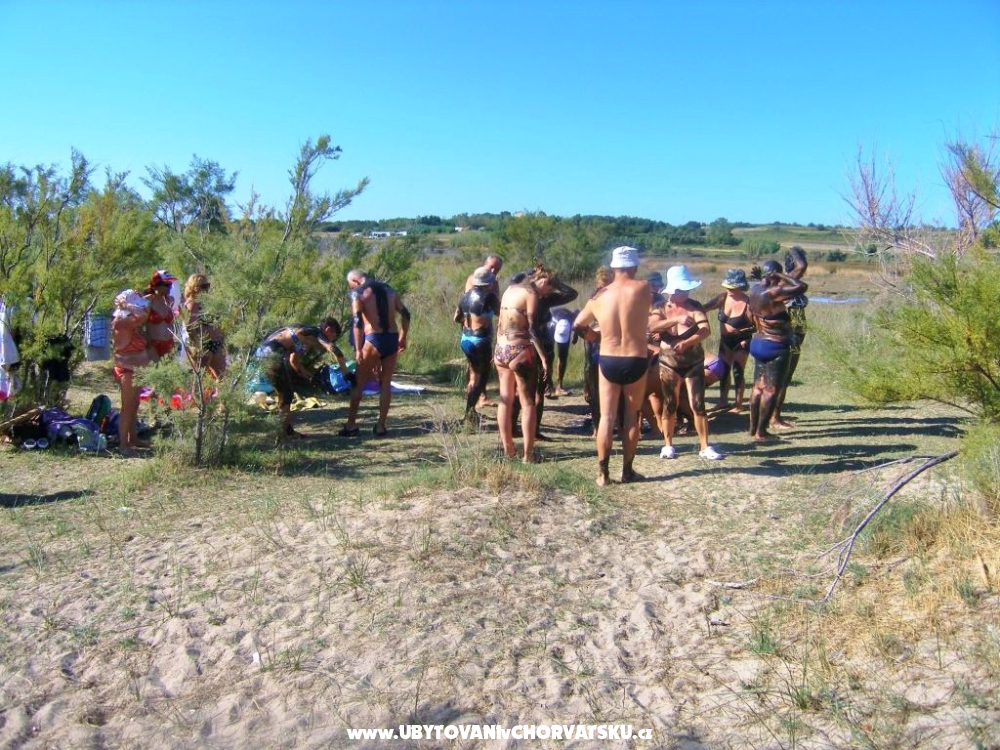 Kata Nin - Nin Hrvatska