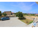 Apartment Novak Rudic - Nin Kroatien