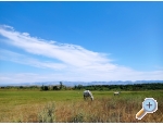 Holiday Home POMALO - Nin Kroatien