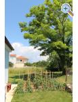Holiday Home POMALO - Nin Kroatien