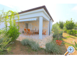 Holiday Home POMALO - Nin Kroatien