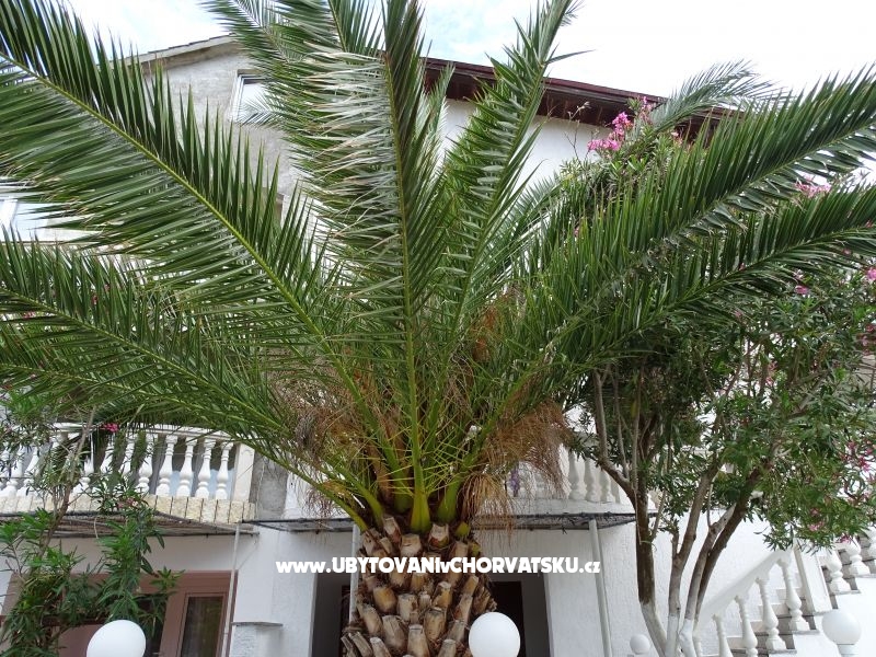 Rose – Ferienwohnung Nin, Kroatien – Foto 6