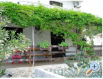 Apartment Lucija - Novalja  Pag Kroatien
