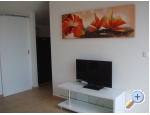 Appartements Cadena - Novalja  Pag Kroatien