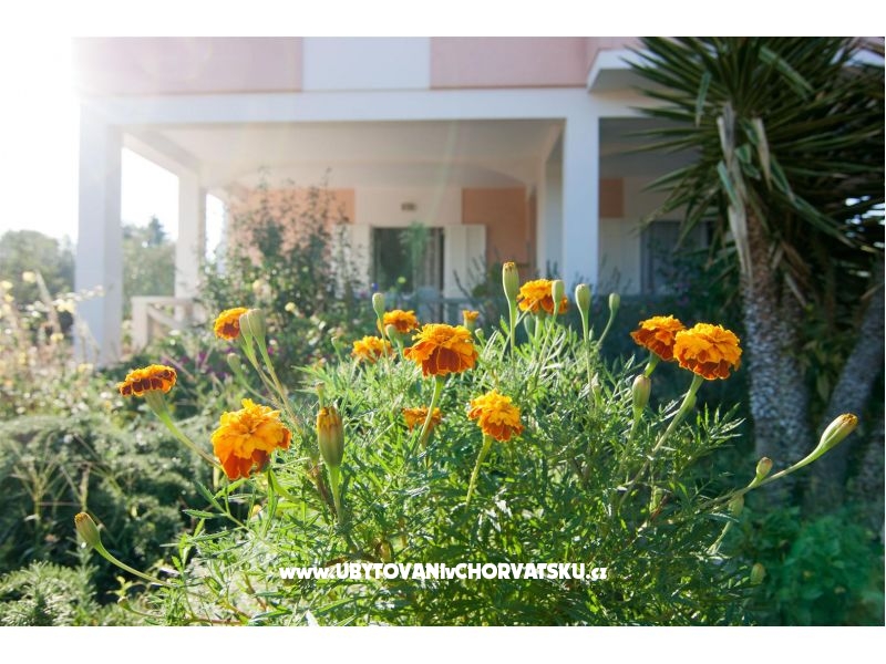 Appartements Danijela – Ferienwohnung Novalja – Pag, Kroatien – Foto 17