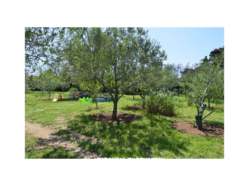 Appartements Danijela – Ferienwohnung Novalja – Pag, Kroatien – Foto 6