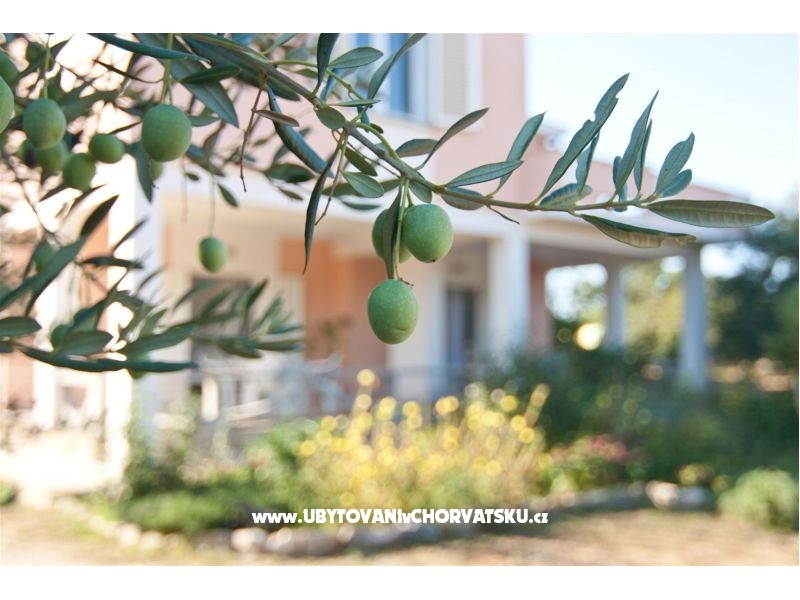 Appartements Danijela – Ferienwohnung Novalja – Pag, Kroatien – Foto 7