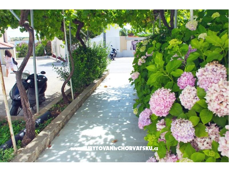 Apartmány Kaštel – ubytování Novalja – Pag, Chorvatsko – foto 16