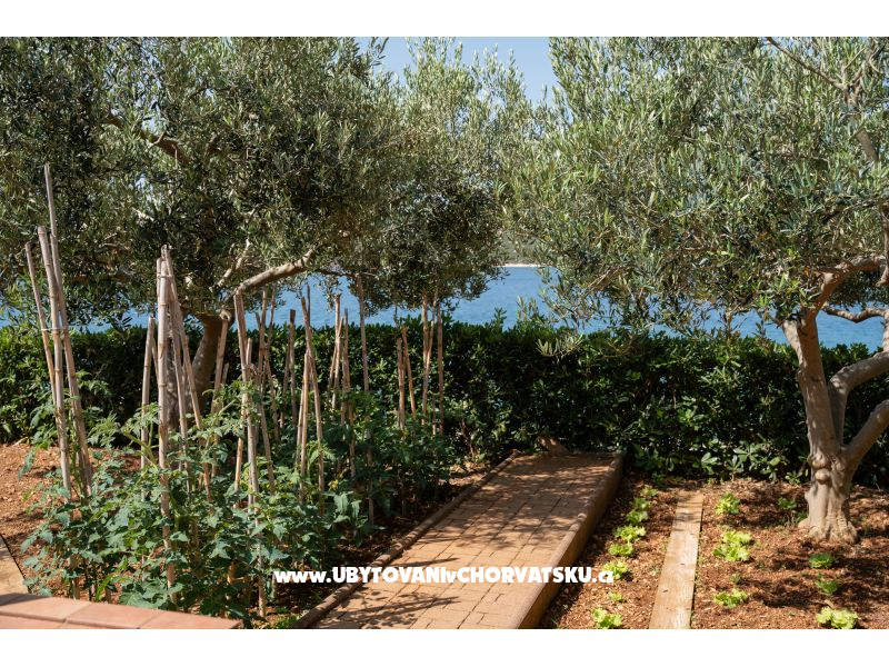 Appartements Kaštel – Ferienwohnung Novalja â€“ Pag, Kroatien – Foto 7