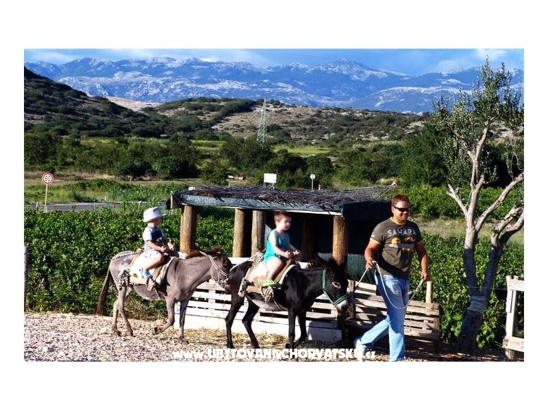 Appartements Lončar – Ferienwohnung Novalja – Pag, Kroatien – Foto 17