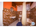Appartements Lucija - Novalja  Pag Kroatien
