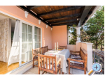Appartements koda - Novalja  Pag Kroatien
