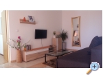 Appartements Zeneral - Novalja  Pag Kroatien