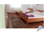 Appartements Zeneral - Novalja  Pag Kroatien