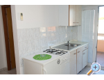 Appartements Iva - Novalja  Pag Kroatien