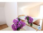 Appartements Iva - Novalja  Pag Kroatien