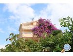 Appartements Iva - Novalja  Pag Kroatien