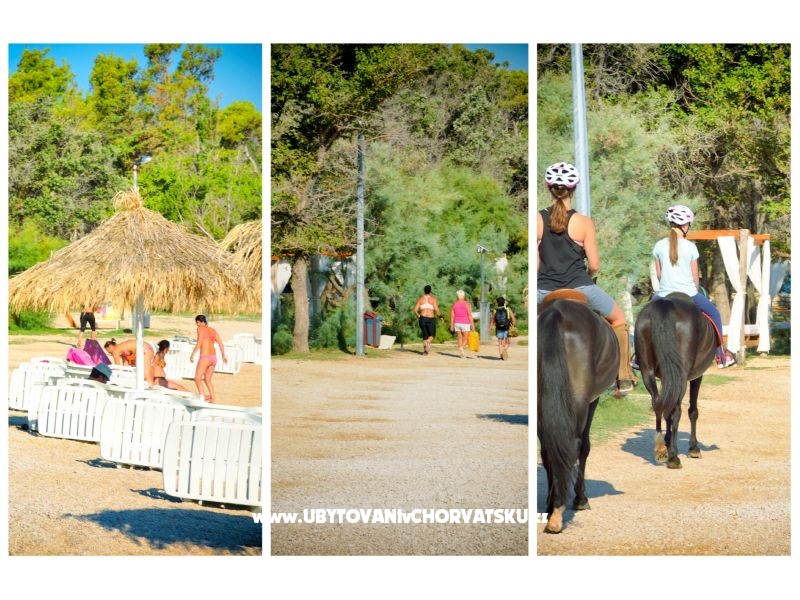 Ferienwohnungen LEA – Ferienwohnung Novalja – Pag, Kroatien – Foto 18