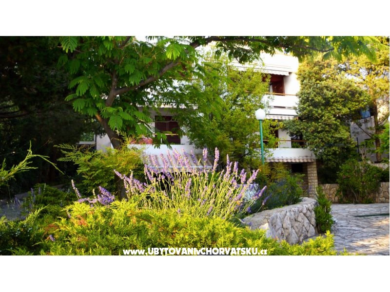 Ferienwohnungen LEA – Ferienwohnung Novalja – Pag, Kroatien – Foto 2