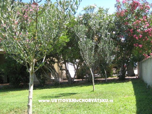 Ferienwohnungen Suljic family – Ferienwohnung Novalja – Pag, Kroatien – Foto 2