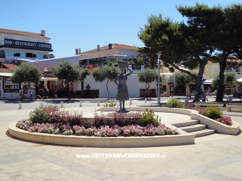 Artneo apartments – Ferienwohnung Novalja – Pag, Kroatien – Foto 11