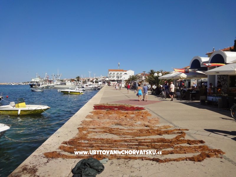 Artneo apartments – Ferienwohnung Novalja – Pag, Kroatien – Foto 12