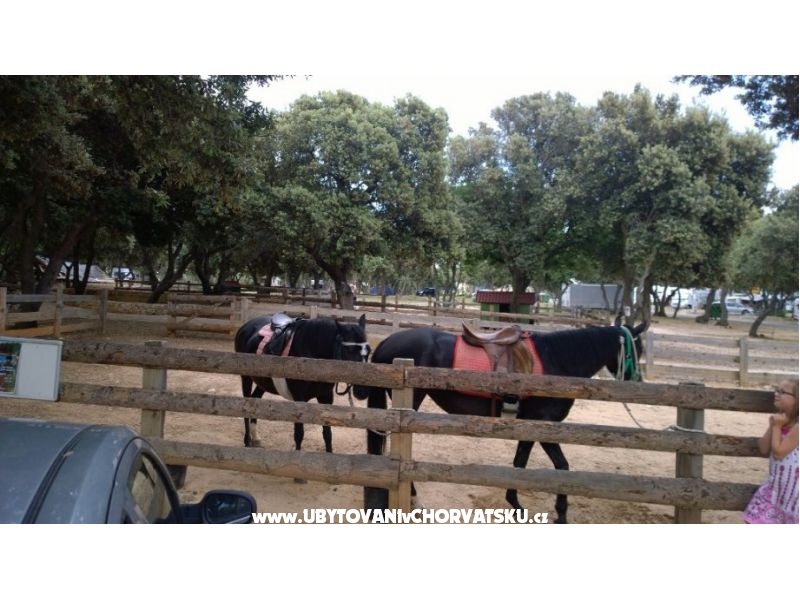 Mobile Home Camp Straško – Ferienwohnung Novalja – Pag, Kroatien – Foto 12