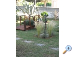 Villa Carrington - Novalja  Pag Kroatien