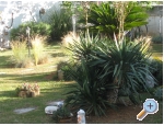 Villa Carrington - Novalja  Pag Kroatien