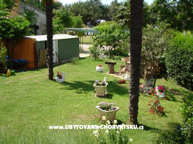 Apartmán Živka – ubytování Novigrad, Chorvatsko – foto 5