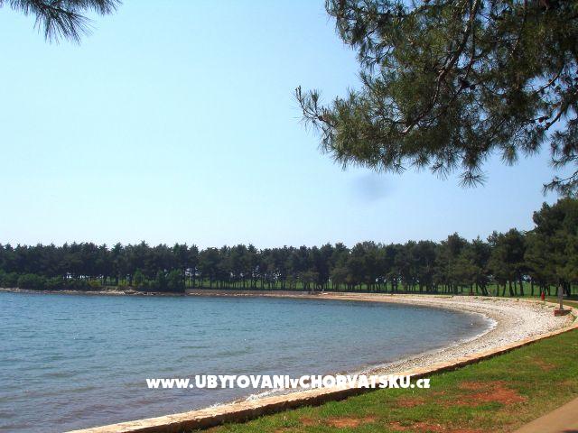 Apartmán Živka – ubytování Novigrad, Chorvatsko – foto 8