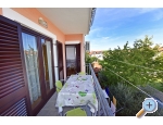 Appartements Tina - Novigrad Kroatien