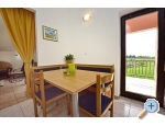Appartements Tina - Novigrad Kroatien