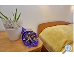 Appartements Tina - Novigrad Kroatien