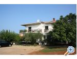 Appartement Adriana Stancijeta - Novigrad Croatie