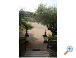 Appartement Adriana Stancijeta - Novigrad Croatie