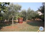 Appartement Adriana Stancijeta - Novigrad Croatie
