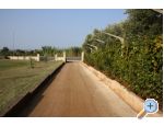 Appartement Adriana Stancijeta - Novigrad Croatie